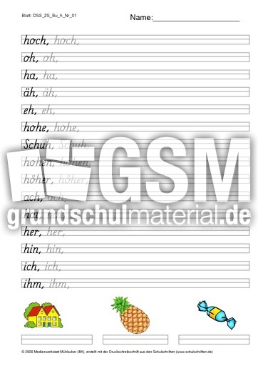 DSS_2S_Bu_h_Nr_01.pdf
